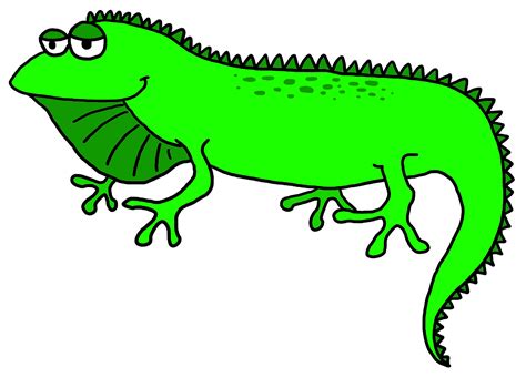 Lizard Green iguana Clip art - Iguana Cliparts png download - 1600*1148 - Free Transparent ...