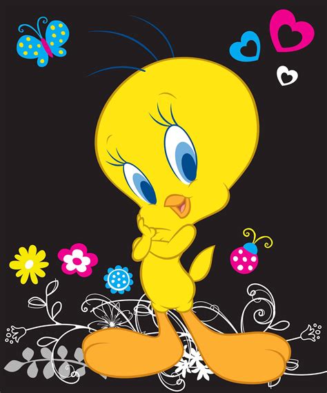 Top 999 Tweety Wallpaper Full Hd 4k Free To Use