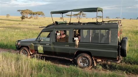 What Do You Do On An African Safari Is It Safe What Type Of Vehicles