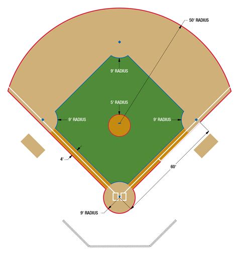 In majors league baseball (mlb), all infield dimensions are exactly the same (not including foul territories) but outfield sizes can vary greatly. Baseball 60' | Beacon Athletics