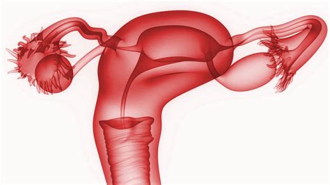 Por qué se producen los quistes en los ovarios