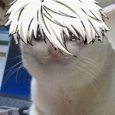 Sobbing Cat Nagi In 2023 Gambar Anime Gambar