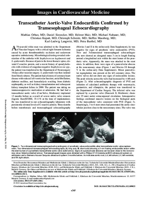 Pdf Transcatheter Aortic Valve Endocarditis Confirmed By