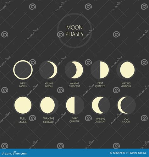 Ilustração Lunar Do Vetor Das Fases Moon O Ciclo Da Fase Lua Nova