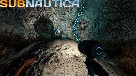 Subnautica How To Find The Cuddlefish Egg In The Northwestern Mushroom
