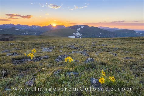 Sunflower Sunset In Rocky Mountain National Park 5 Rocky Mountain