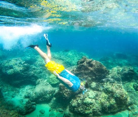 Best Snorkeling In Oahu 6 Not To Miss Places To Explore — Uprooted