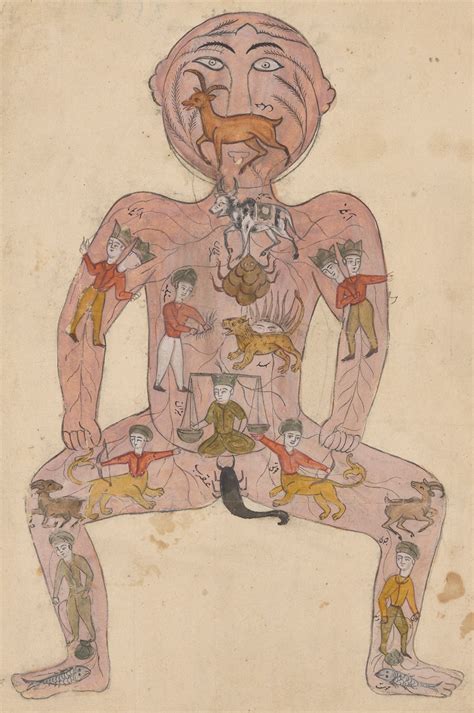 This connects health, medicine, and science in a way that studies how the human body acquaints itself to physical activity, stress, and diseases. Mapping the Body with 'Ayurvedic Man' in 18th-Century ...