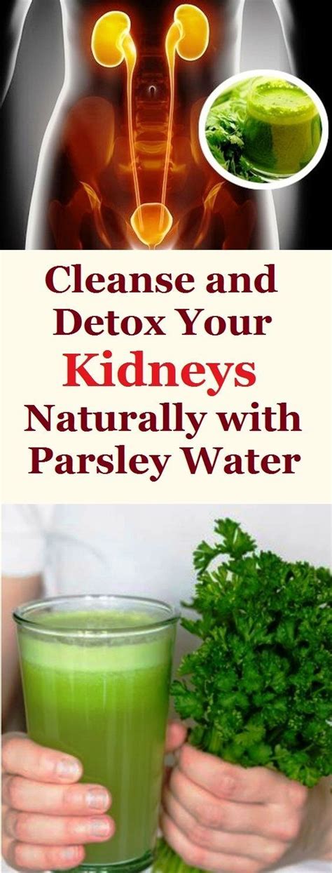 Cleanse And Detox Your Kidneys Naturally With Parsley Water Kidney