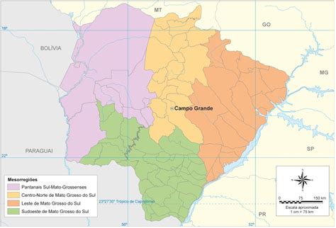 Mato Grosso Do Sul História E Geografia 13 Mesorregiões Do Mato