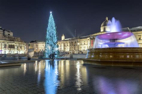 Albero Di Natale In Trafalgar Square A Londra Regno Unito Fotografia