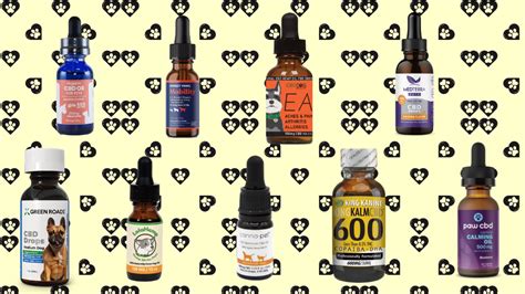 Guide To The 10 Best Cbd Oil For Dogs Published Oct 2020