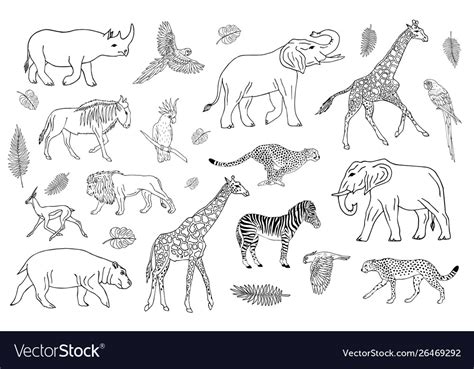Set Outline Hand Drawn African Animals Royalty Free Vector