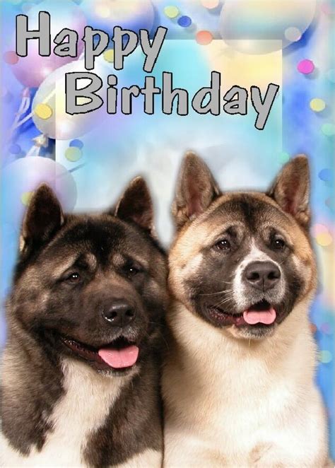 Akita Dog Design A6 Textured Birthday Card Bdakita 2 By