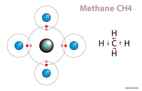 Ch4 Polar Or Nonpolar Covalent Bond Ppt The Chemistry Of Life