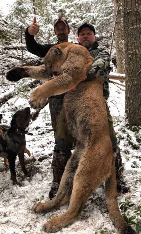 Managers otherwise Community agreements till rejection one Our is