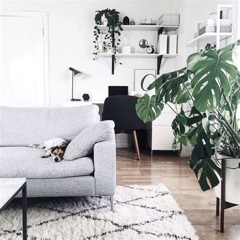 Revitalize Your Home With Lush Indoor Plants In Every Room
