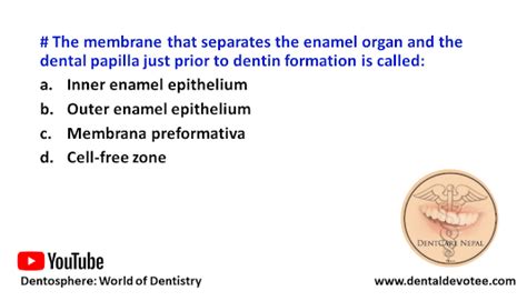 Dentosphere World Of Dentistry The Membrane That Separates The