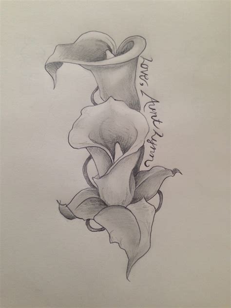 Realistic Calla Lily Drawing Reisseenzor