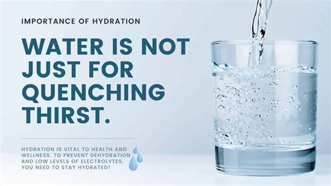Importance Of Hydration And Drinking Water