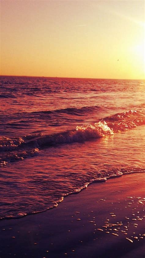 Ocean Sunset Golden Shore Waves Iphone 5 Wallpaper Ipod
