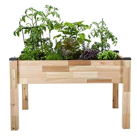 I Tested The Ankerfield Self Watering Eco Stained Elevated Planter Box