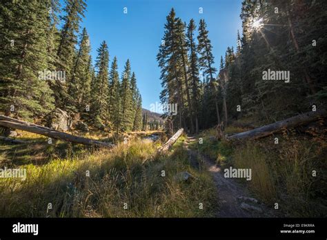 Hiking Along The East Fork Of The Jemez River In The Jemez Mountains Of