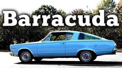Because of the bigger car, the barracuda could fit just about any engine plymouth made under its in response to this, all the pony cars, barracuda included, offered options that packed as much power. Regular Car Reviews: 1966 Plymouth Barracuda - YouTube