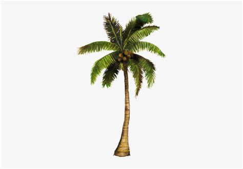 Vecinos Verdes Coconut Tree Animated  Transparent Png 750x502