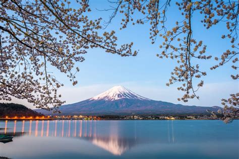 How To Choose The Best Japan Tour Package Wapiti Travel