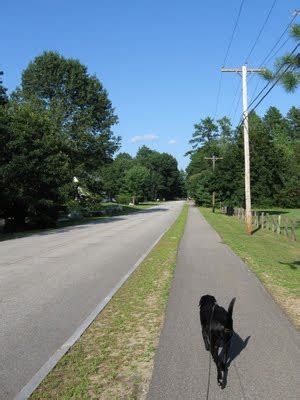 Armouk was a black and white siberian husky puppy brought to the humane society because the no more stressed cats in crates and they were all running for feeding time, jumping into the right. Photo-Run #2: A Runner and His Dog on the Road and Trail in Concord, NH