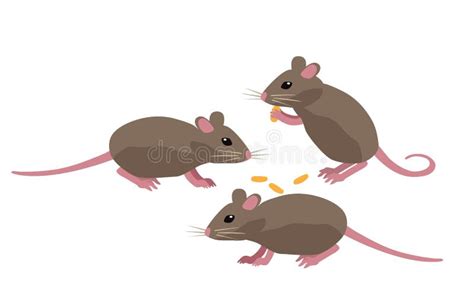 Three Rats Cartoon Stock Illustrations 54 Three Rats Cartoon Stock