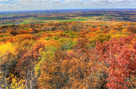 Autumn Foilage In Blue Mound State Park Wisconsin Image Free Stock