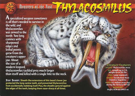 Thylacosmilus Weird N Wild Creatures Wiki Fandom Powered By Wikia