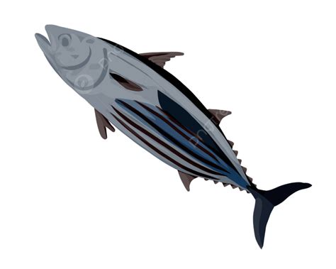 Skipjack Tuna Tuna Fish Sea Food Png Transparent Clipart Image And