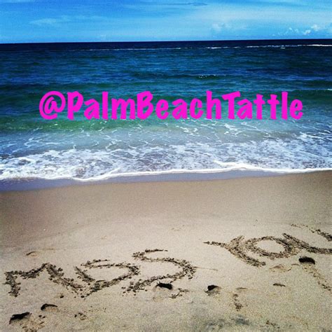 Why To Love Palm Beach Palm Beach Tattle