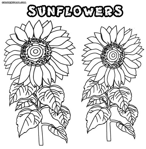 Sunflower coloring pages | Coloring pages to download and print