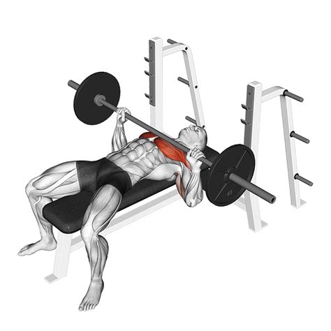 Chest Press Machine Benefits Muscles Worked And More Inspire Us