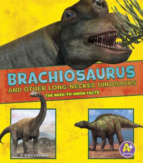 Brachiosaurus And Other Big Long Necked Dinosaurs The Need To Know