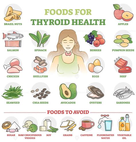 Foods For Thyroid Health As Good Products Choice For Wellness Outline