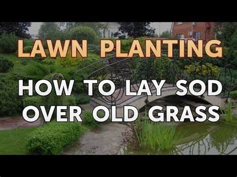 If you have one, make sure you keep your dog off the new sod for a few weeks. How to Lay Sod Over Old Grass - YouTube