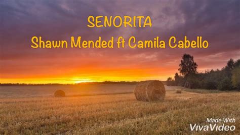 The couple's steamy collab is up for a 2020 grammy. Senorita - Shawn Mendes, Camila Cabello (lyrics) - YouTube