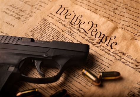 Gun Confiscation Begins In Illinois Lucas Daniel Smiths Blog
