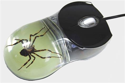 You Can Buy A Mouse With A Real Spider Inside Just Keep It Far Far