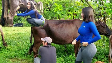 Nos fuimos a ordeñar una vaca lechera Que belleza la vida en el