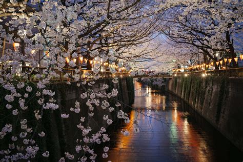 12 Beautiful Places In Japan That Are Hard To Believe Really Exist