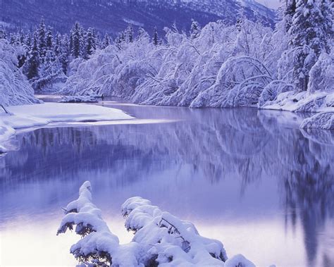 Free Download Wallpaper 3840x2160 Snow White Winter Nature Scenery 4k