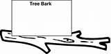 Bark Tree Clipart Clip Clker Clipground sketch template