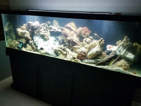 125gl Star Wars Aquarium Fish Tank Themes Fish Tank Terrarium