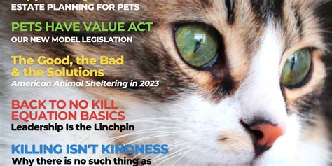 Summer 2023 By The No Kill Advocacy Center